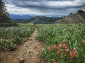 Gretchen on the PCT